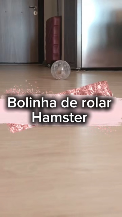 Brinquedo para hamster #Pets #hamster #brinquedopet