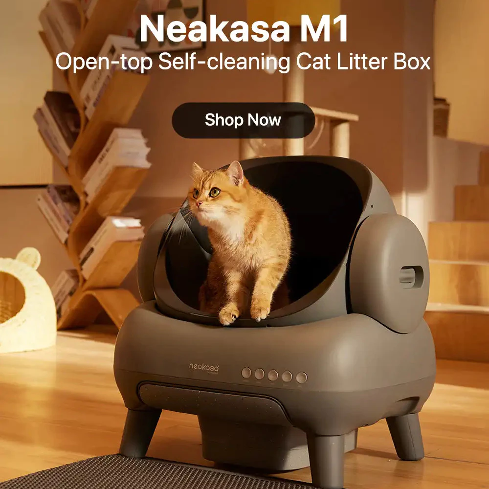 🐱 Caixa de areia para gatos Neabot M1